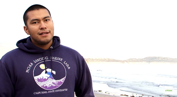 beginners surf tips